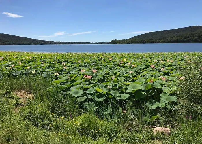Water Lily Apartment Bardello